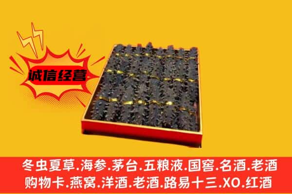 金城江区回收海参